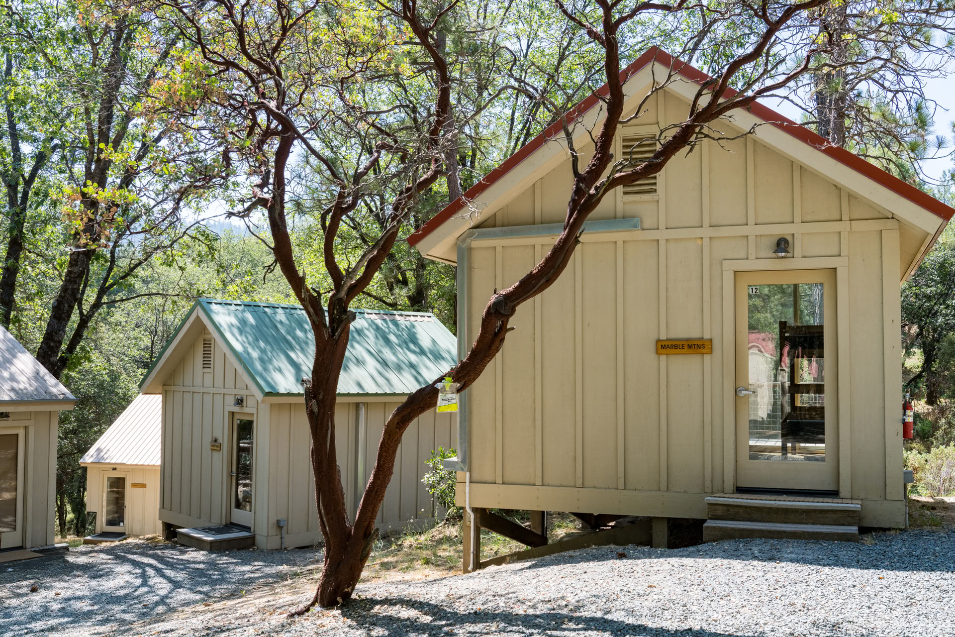 Paramhansa Yoganandas Mission fortführen