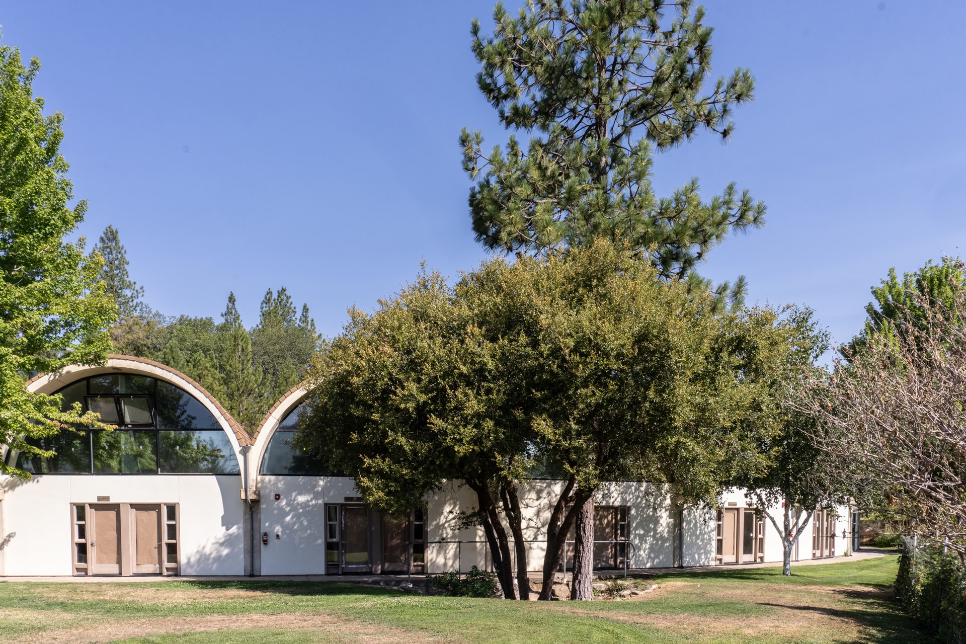Paramhansa Yoganandas Mission fortführen