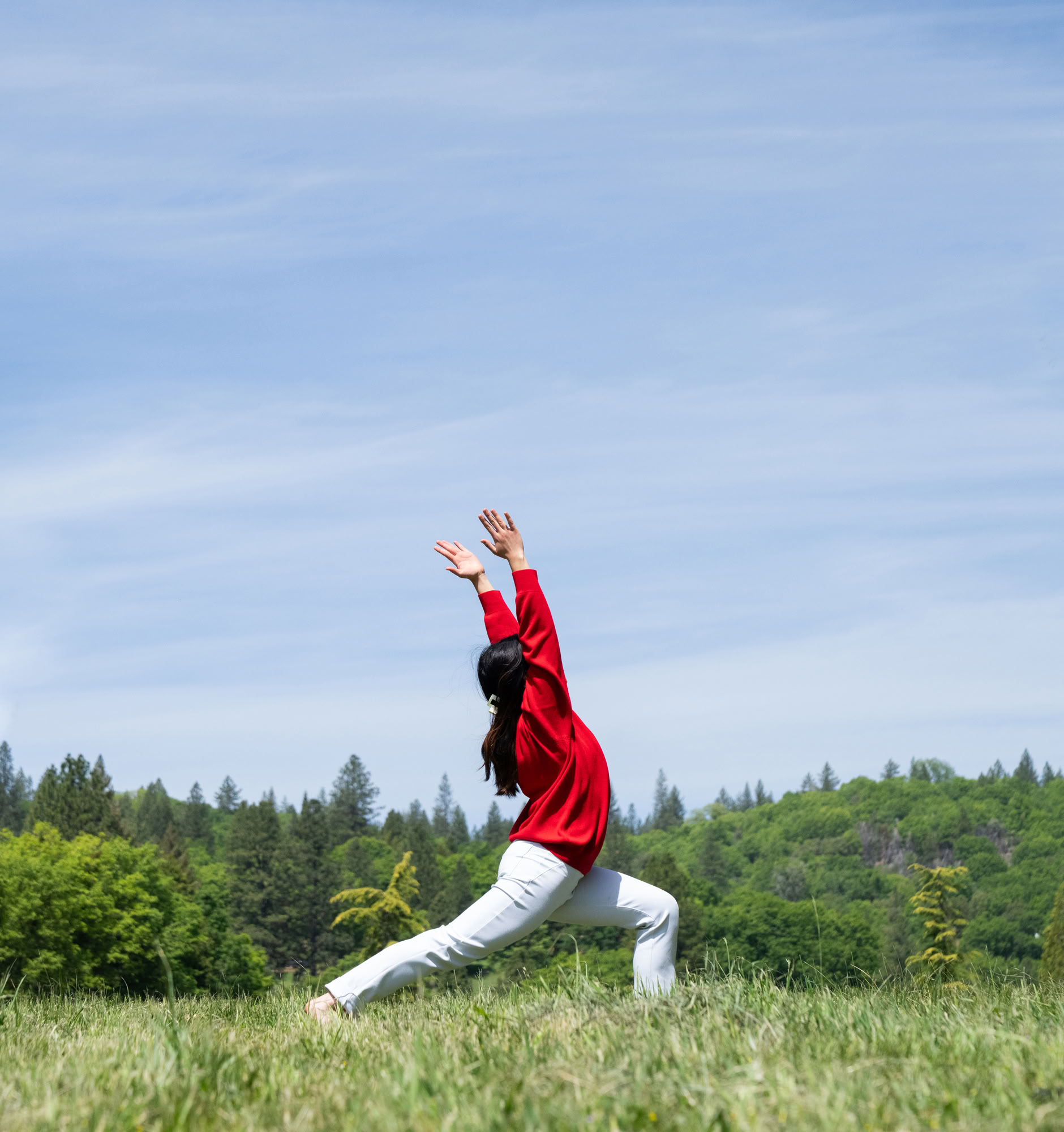 Grundlagen des Ananda Yoga