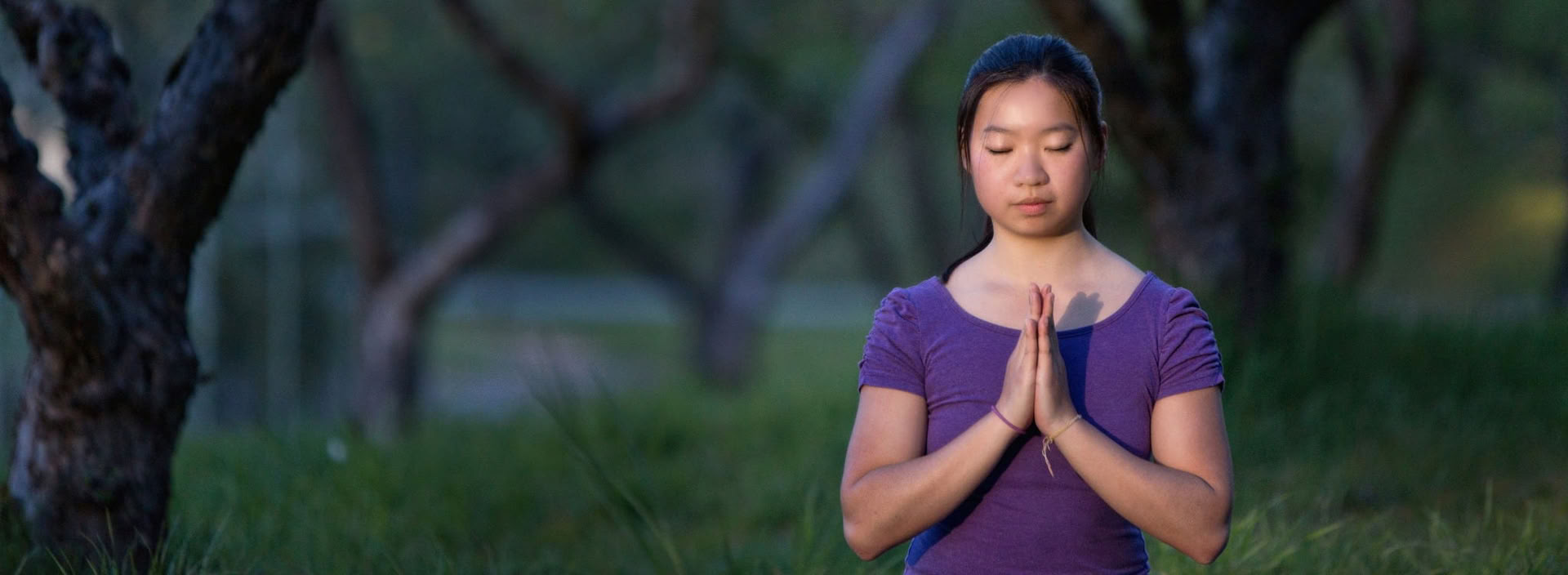 Grundlagen des Ananda Yoga
