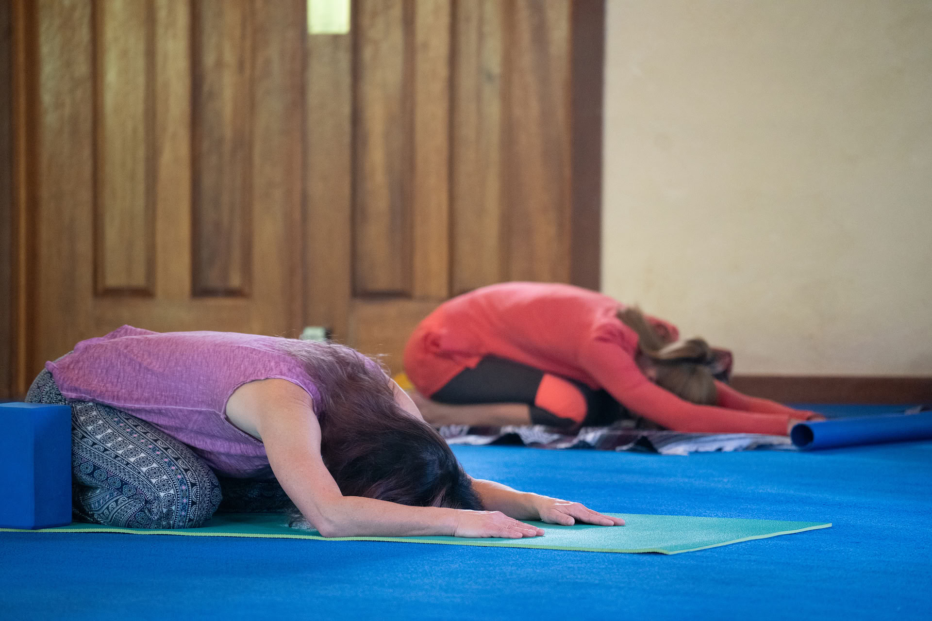 Grundlagen des Ananda Yoga