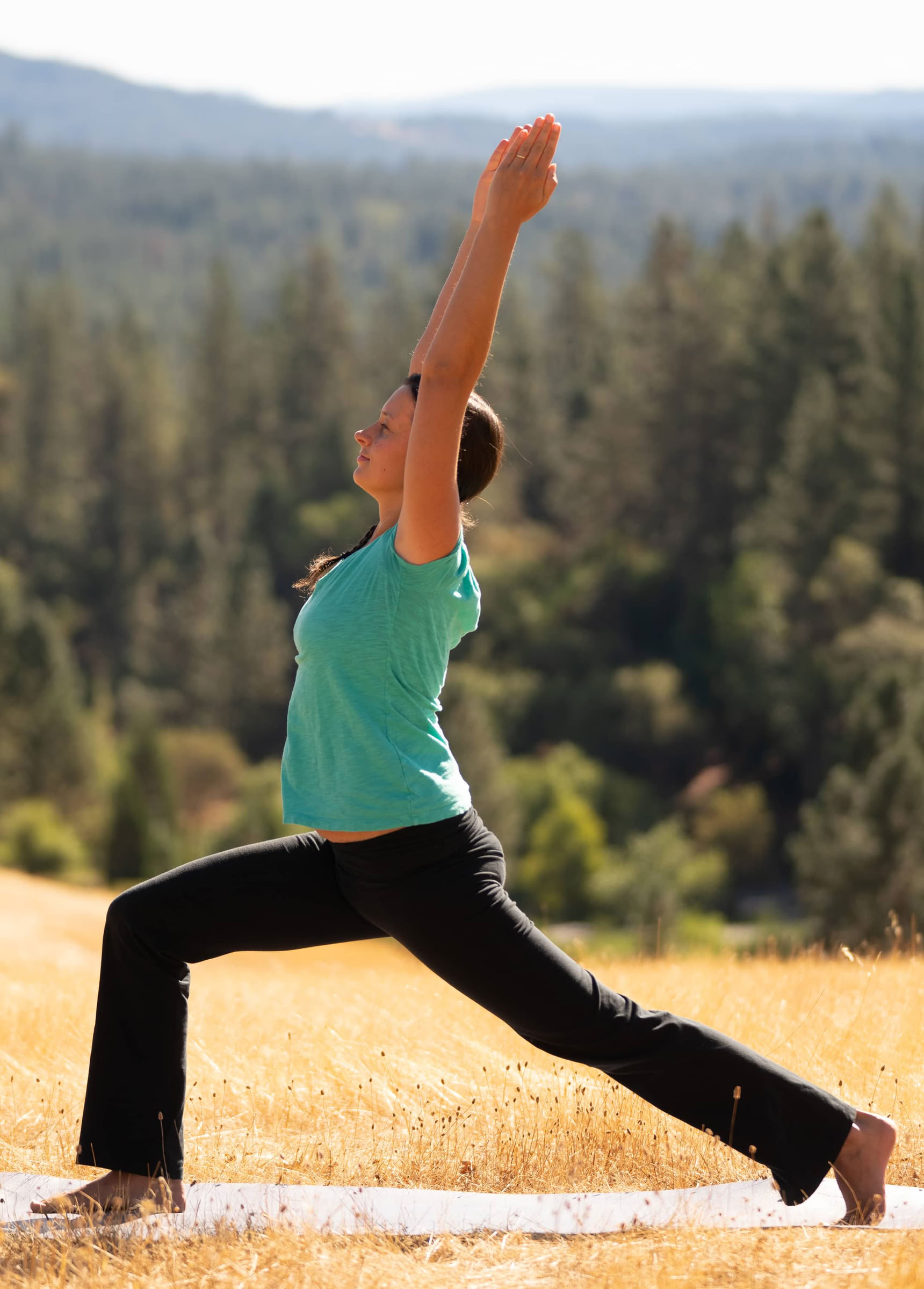 Brücke zu Ananda Yoga