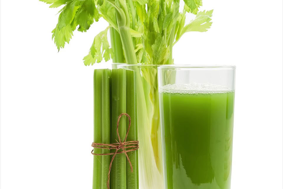 10-tägiges Saftfasten- & Detox-Retreat – 19. - 24. Jun 2026
