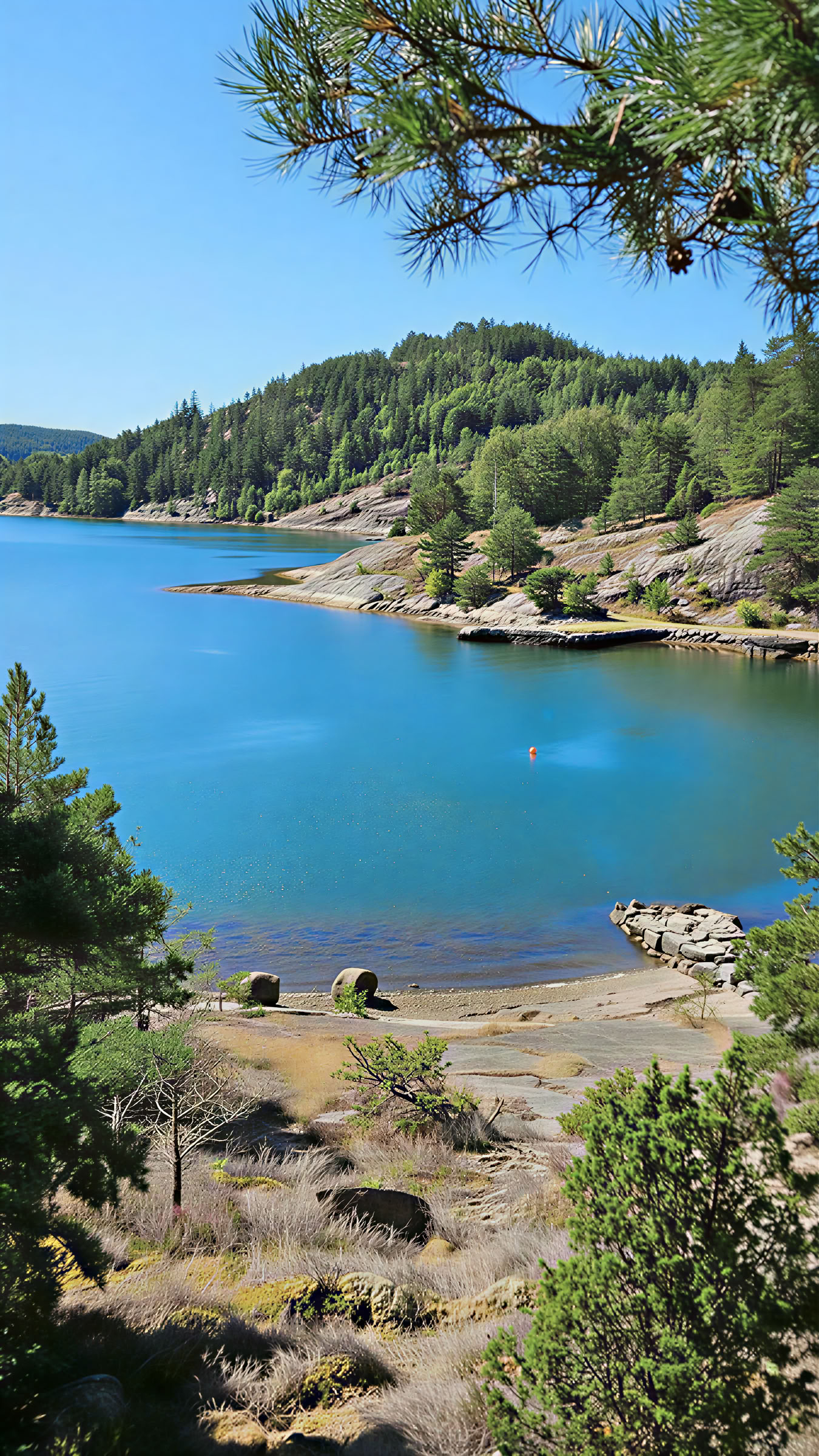 Transformative Entgiftung – 10 -19 Jul 2026