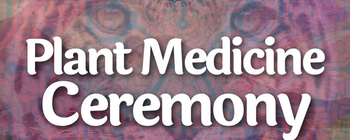 Pflanzenmedizin-Zeremonien