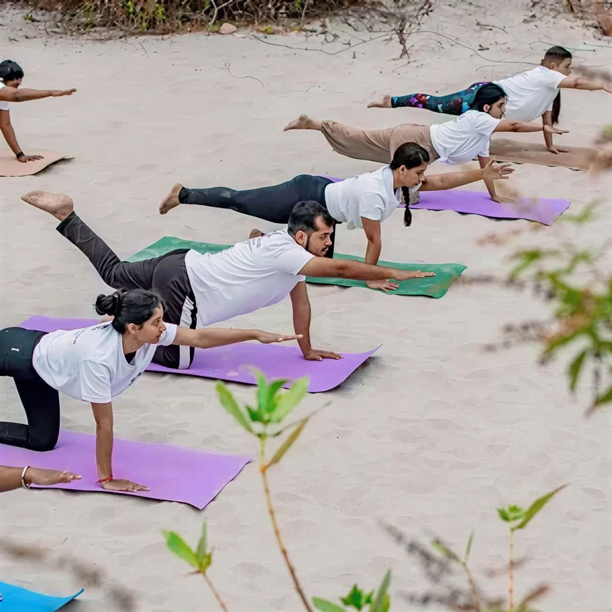 300-Stunden Yoga-Lehrer-Ausbildungsprogramm
