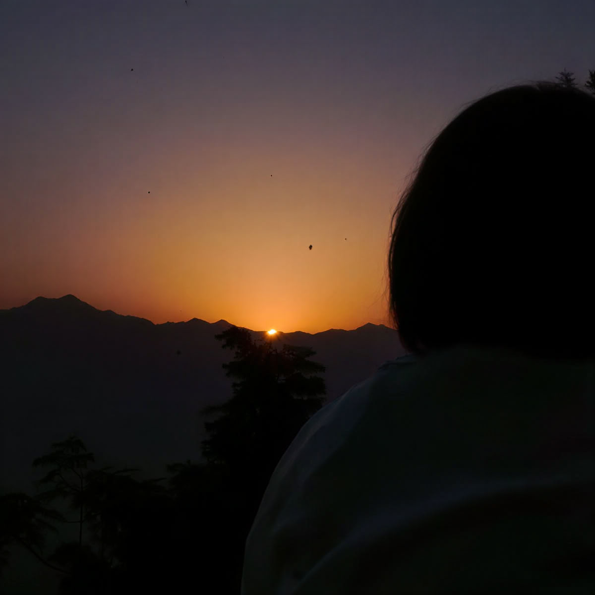 100-Stunden Yoga Lehrer Ausbildung in Rishikesh