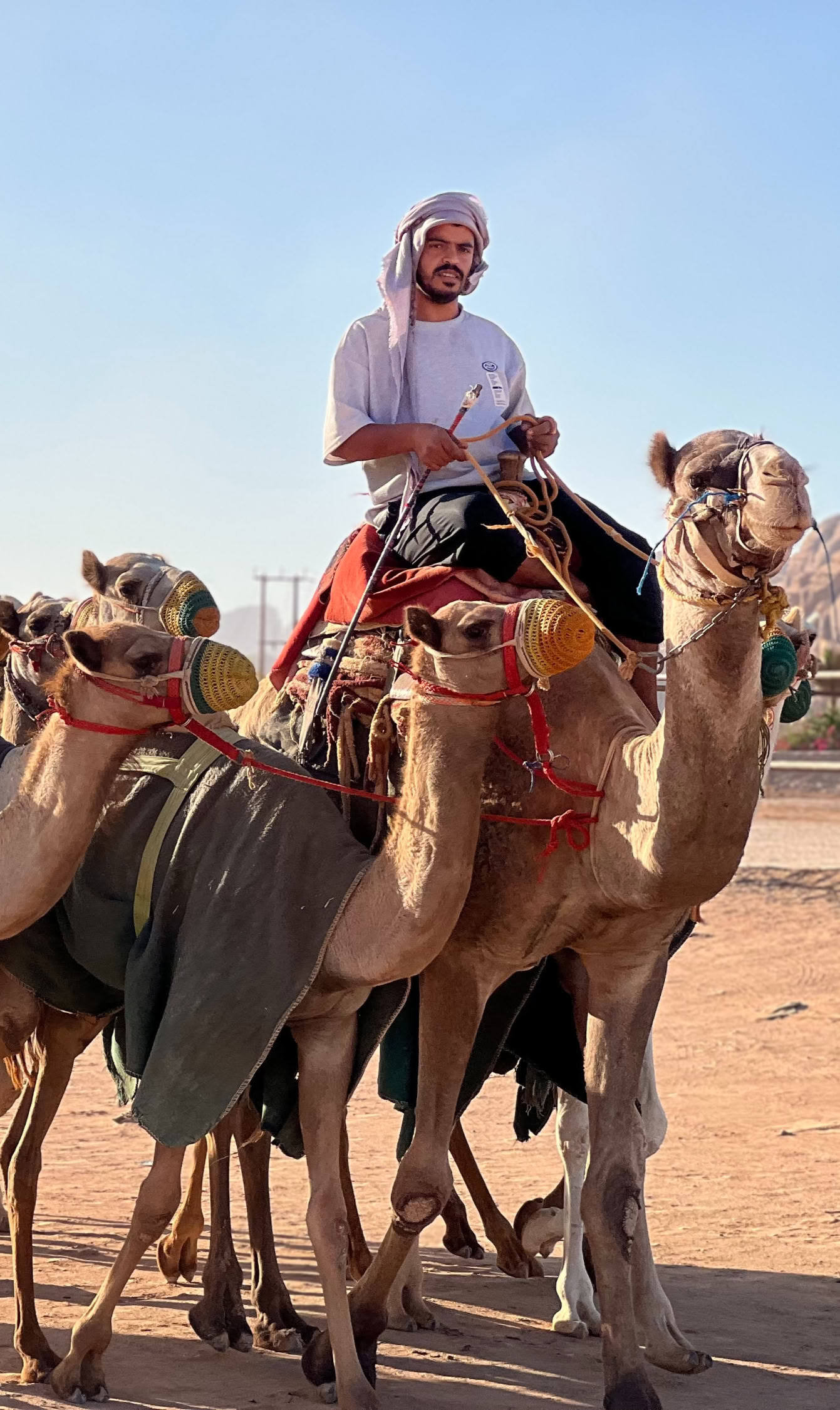 Wüstenabenteuer in Wadi Rum Jordan