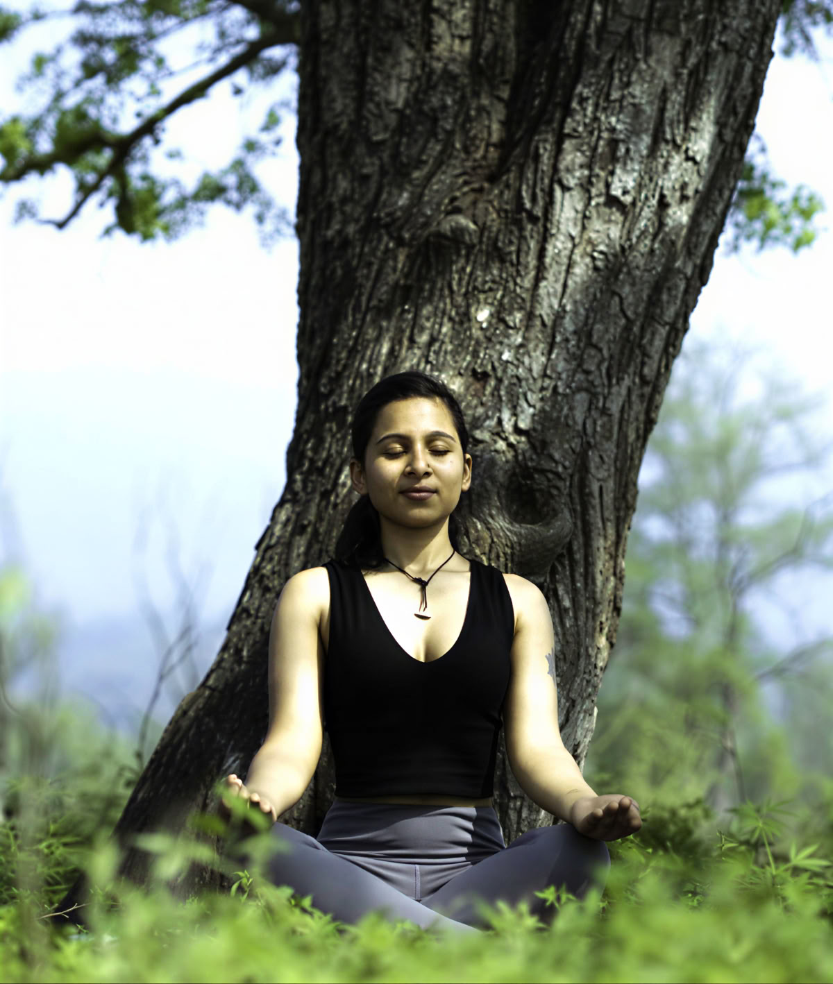 100-Stunden Traditional Yoga TTC