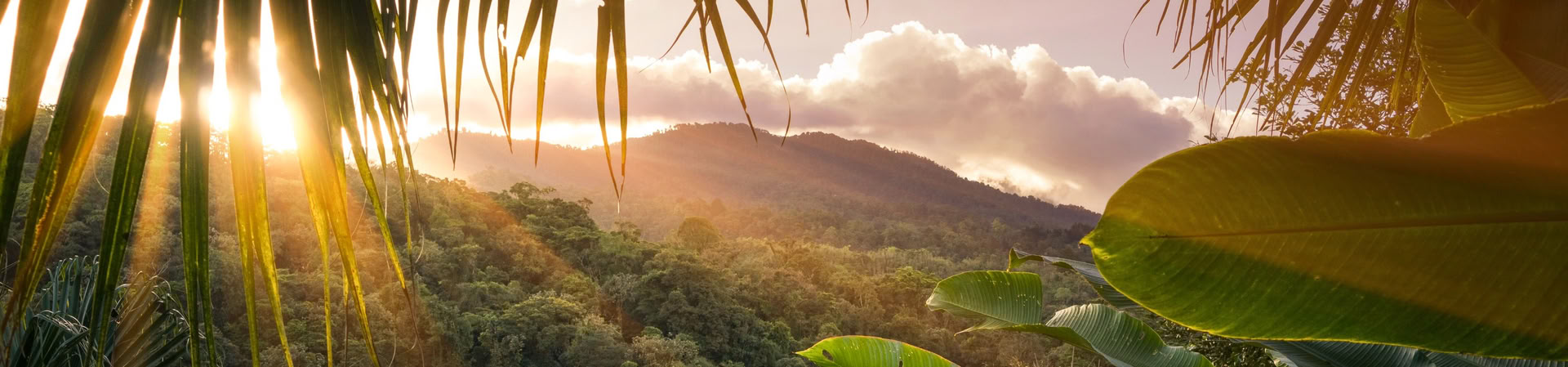 1-tägige Corcovado-Tour