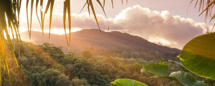 1-tägige Corcovado-Tour