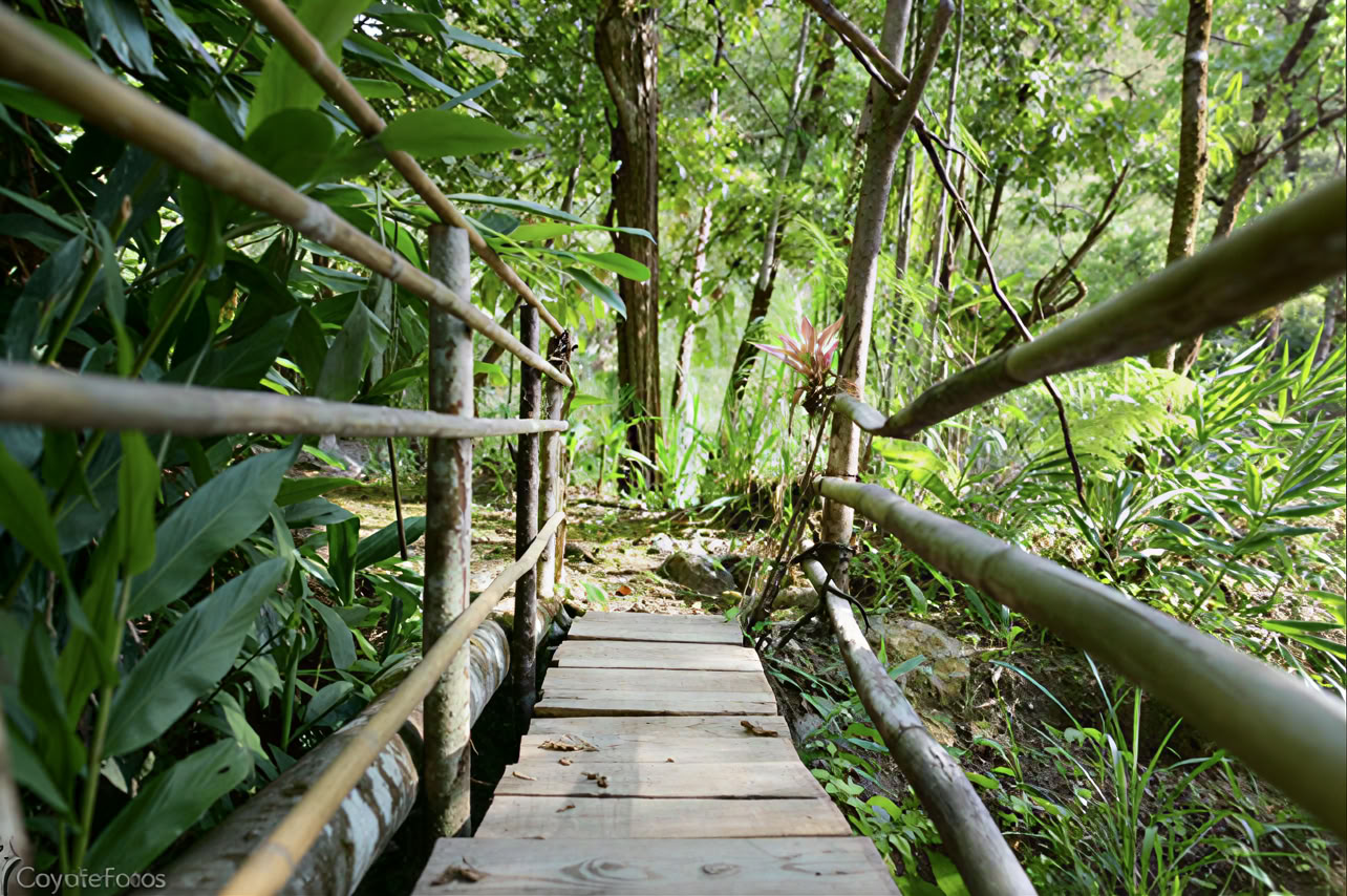 Ancestral Heart Retreat