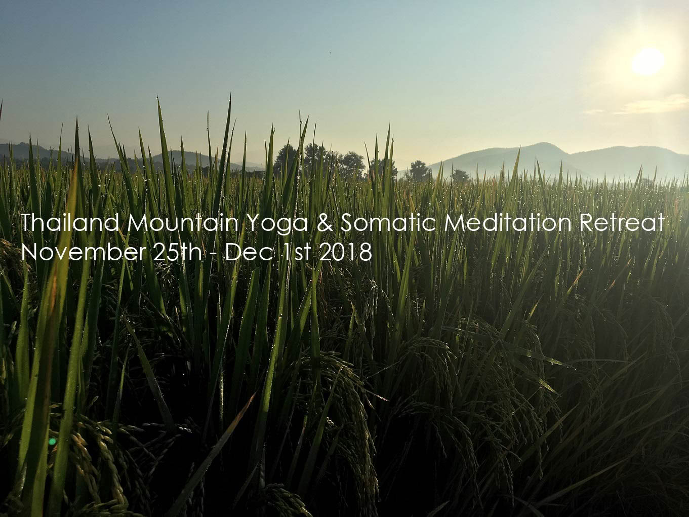 Somatic Meditation Yoga Retreat Chiang Mai, Thailand