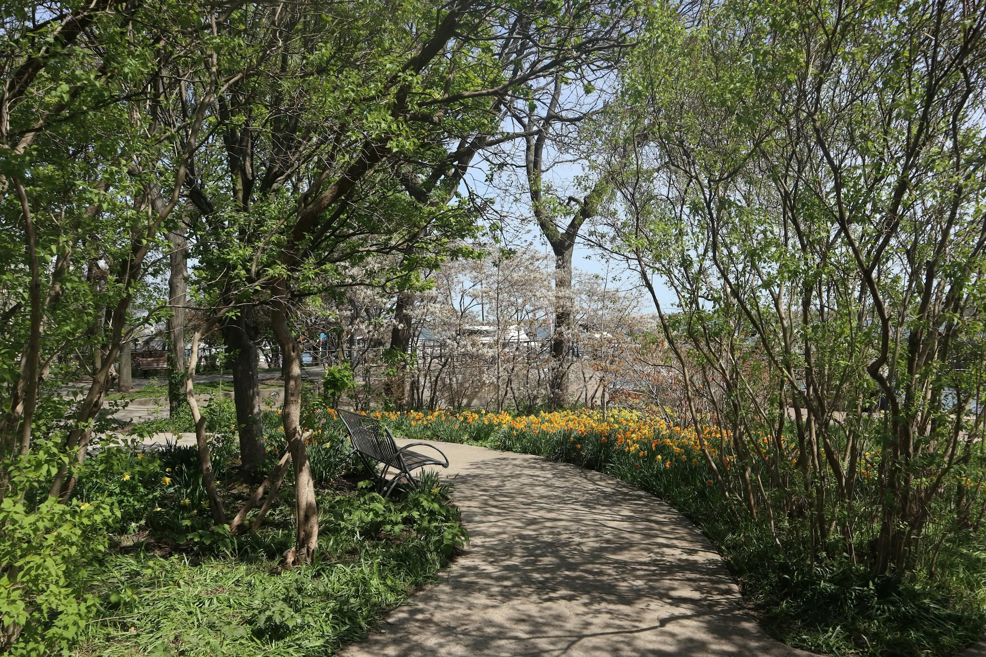 ForREST Retreat: Emerge In Bloom