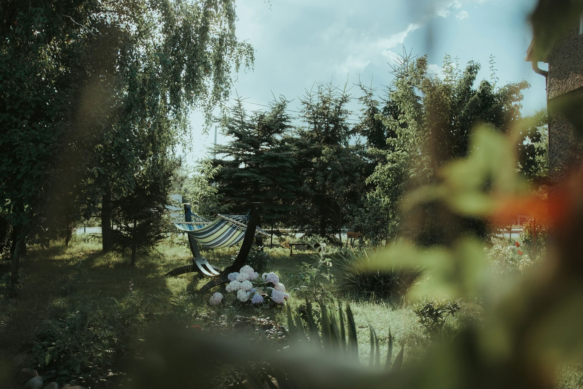 ForREST Retreat: Erblühe — Wild Nature Retreats