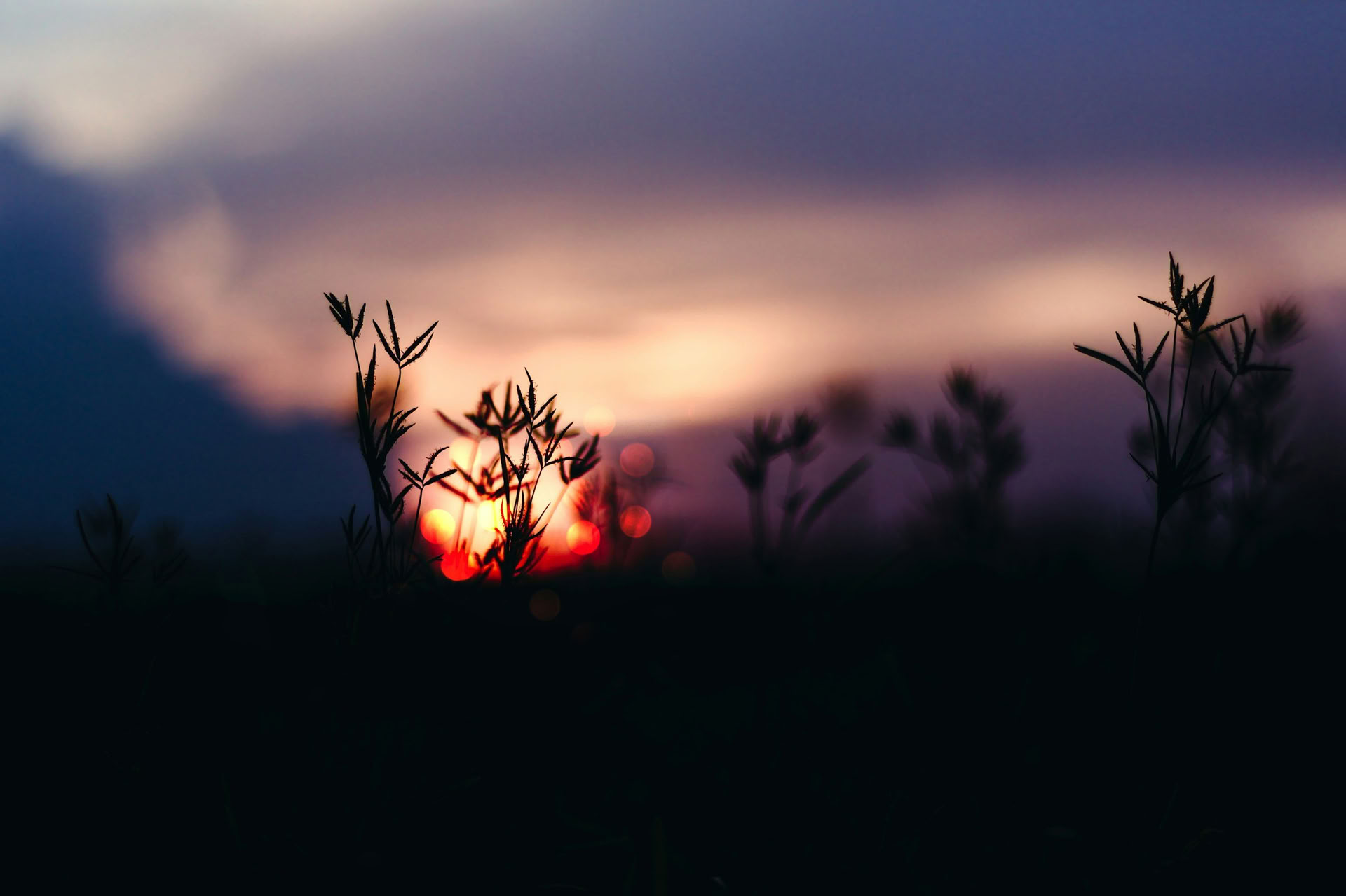 Solstice Retreat-Serie: Feier zur Herbst-Tagundnachtgleiche mit Erin Moe — Wild Nature Retreats