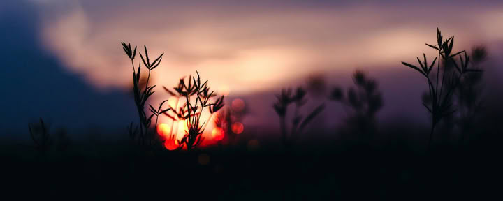 Solstice Retreat-Serie: Feier zur Herbst-Tagundnachtgleiche mit Erin Moe — Wild Nature Retreats