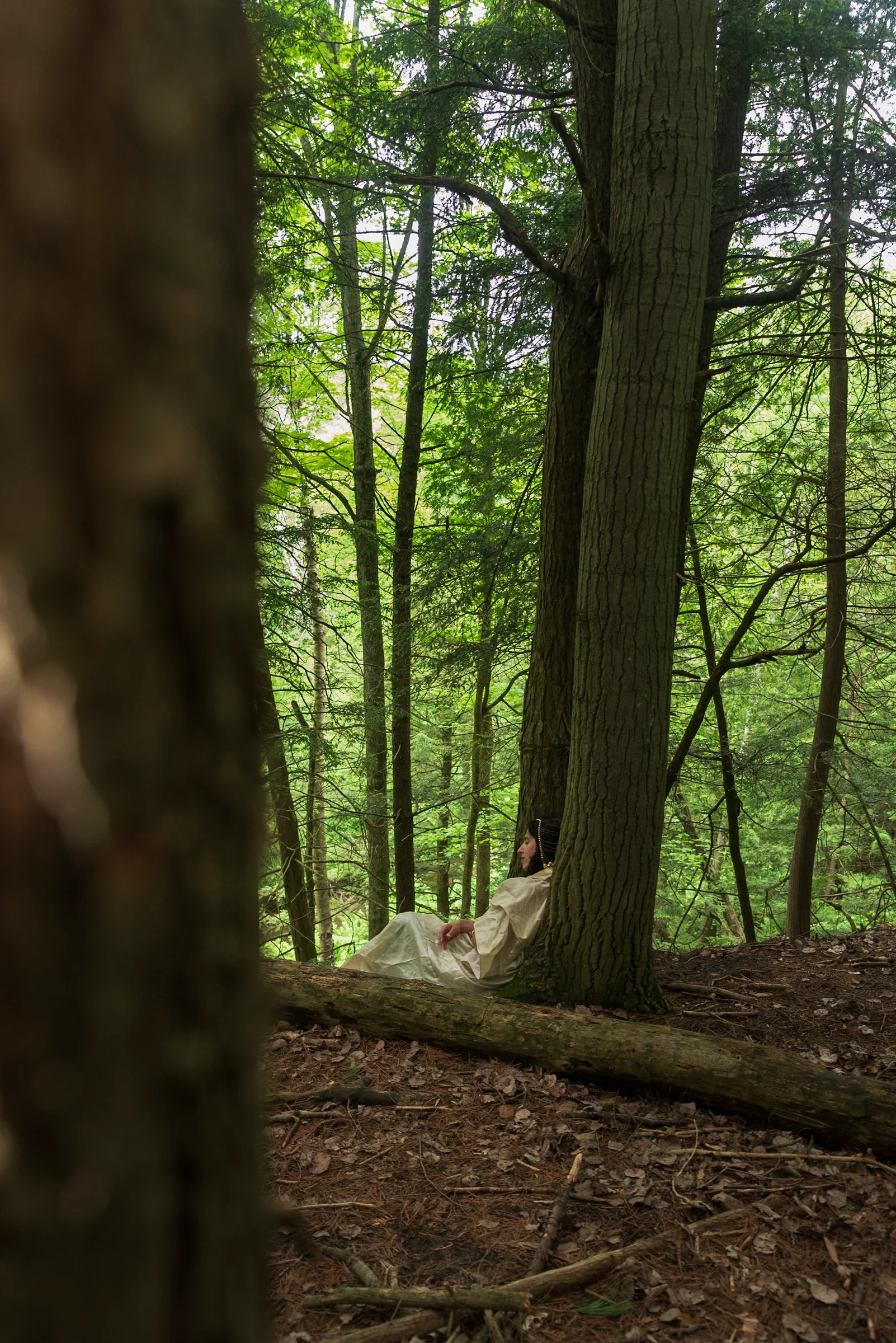 Solstice Retreat-Serie: National Indigenous Peoples Day - Der Sommer beginnt mit Erin Moe — Wild Nature Retreats