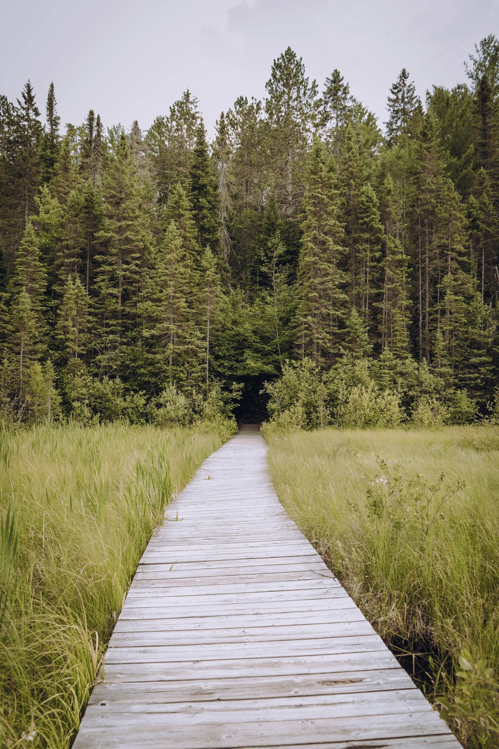 ForREST Retreat: Sommerentschleunigung