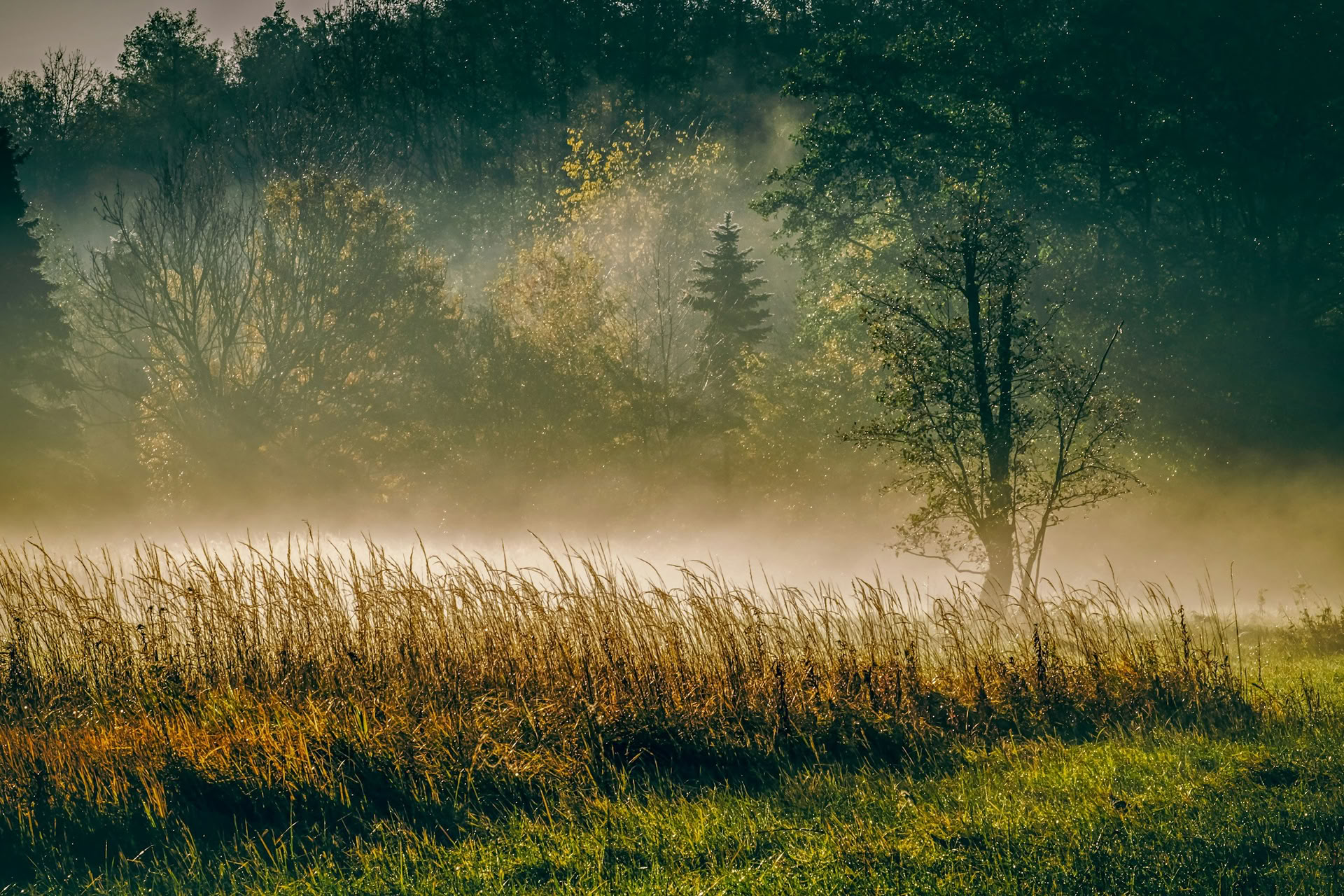 Creative Rest: Herbst-Retreat
