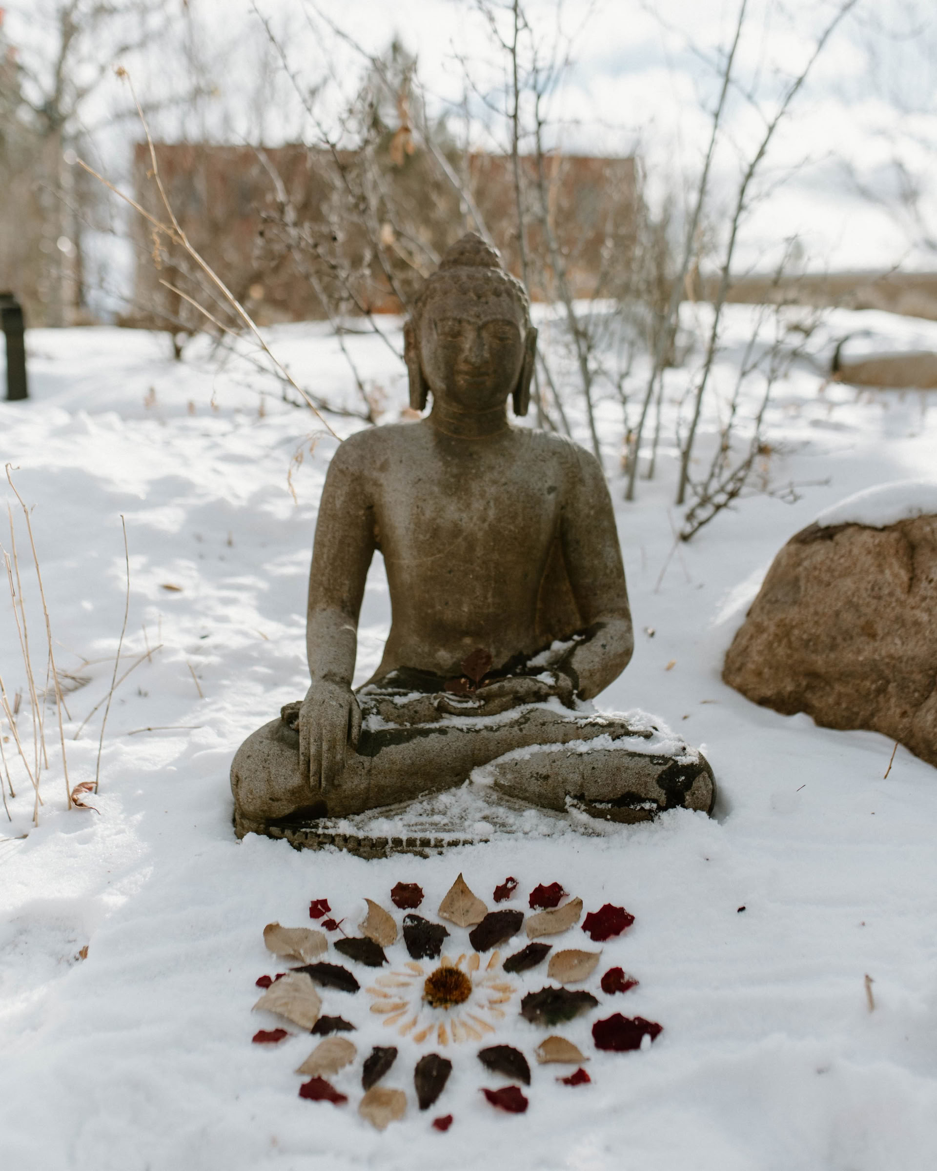 Concentric Recovery Monatliche Meetings | True Nature - Carbondale, CO