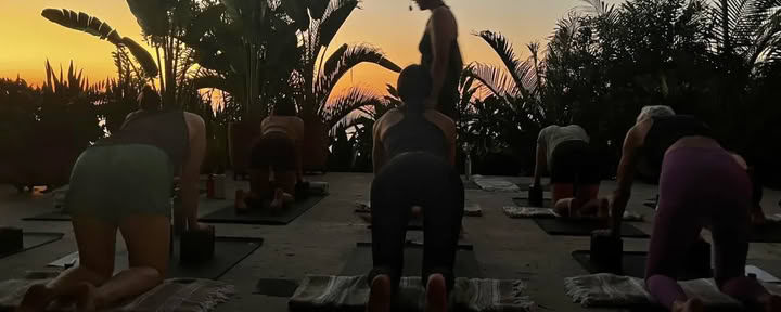The Reset Retreat: Eine Gelegenheit, sich zu verankern und auszuatmen mit Carolyn Anne Budgell — la joya