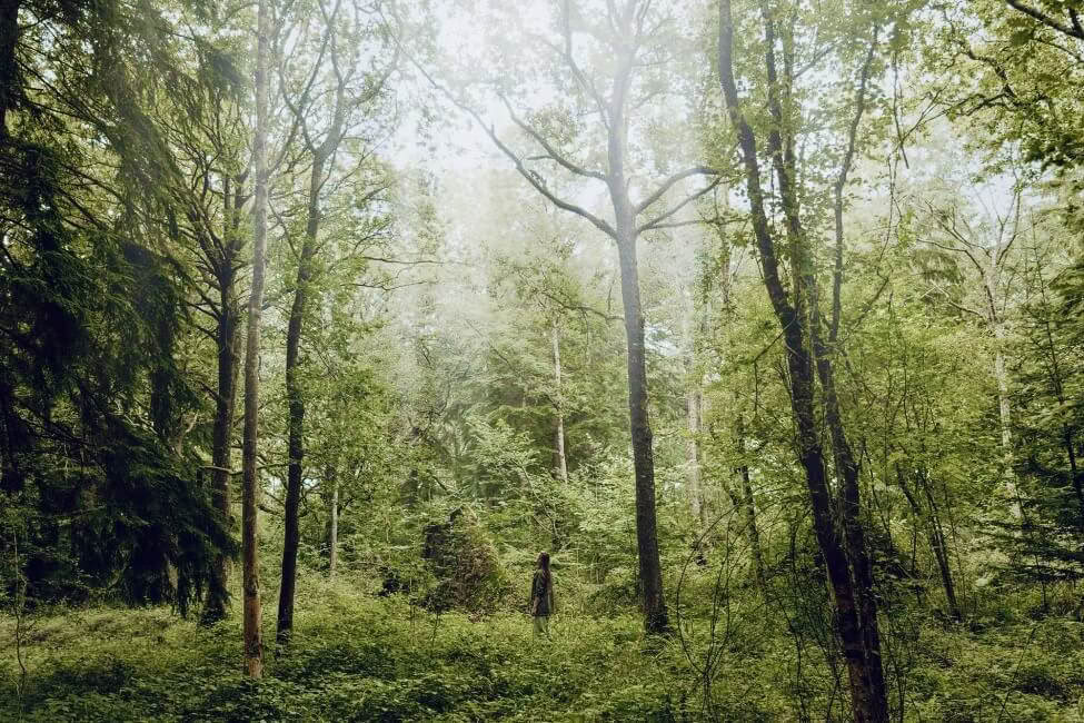 The Reset Retreat at 42 Acres