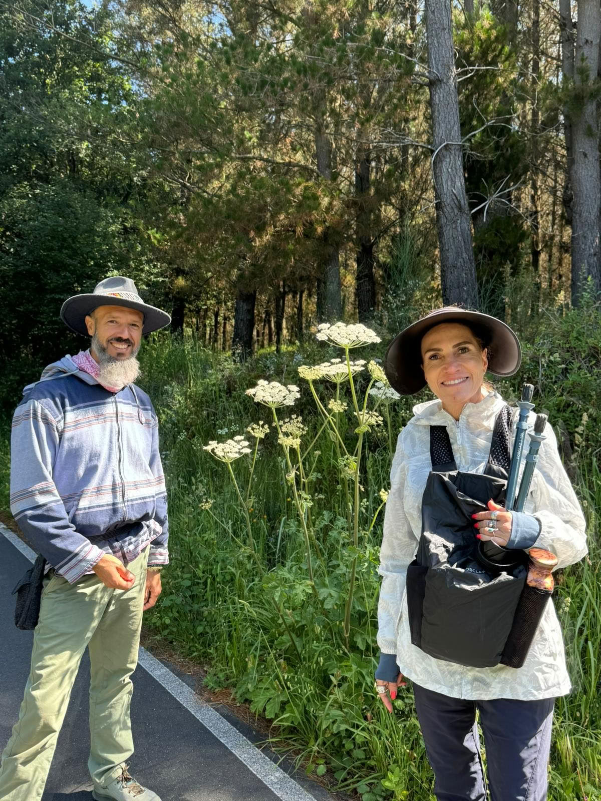 Camino Retreat 2026 (6 Tage)