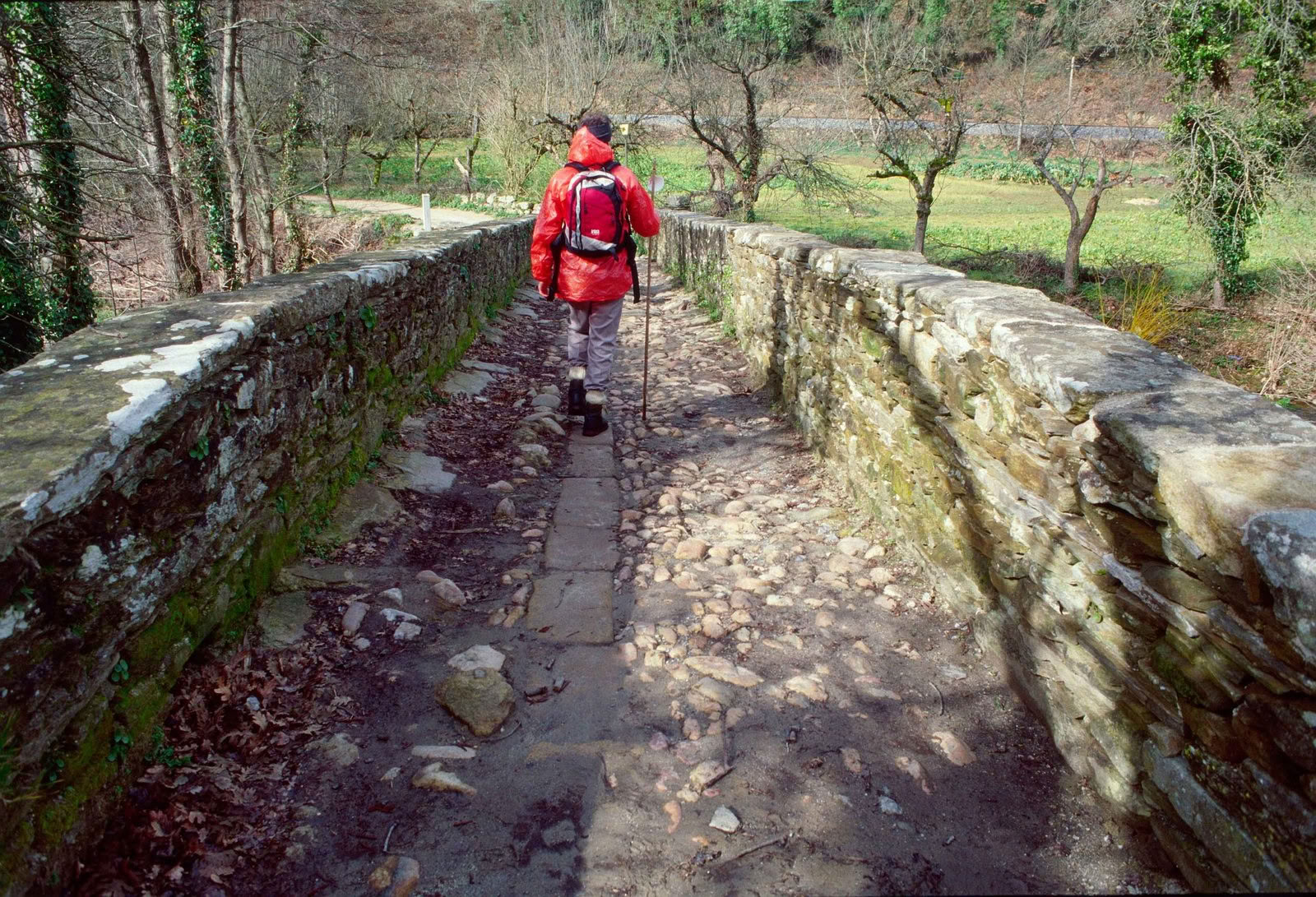 Camino Retreat 2026 (6 Tage)