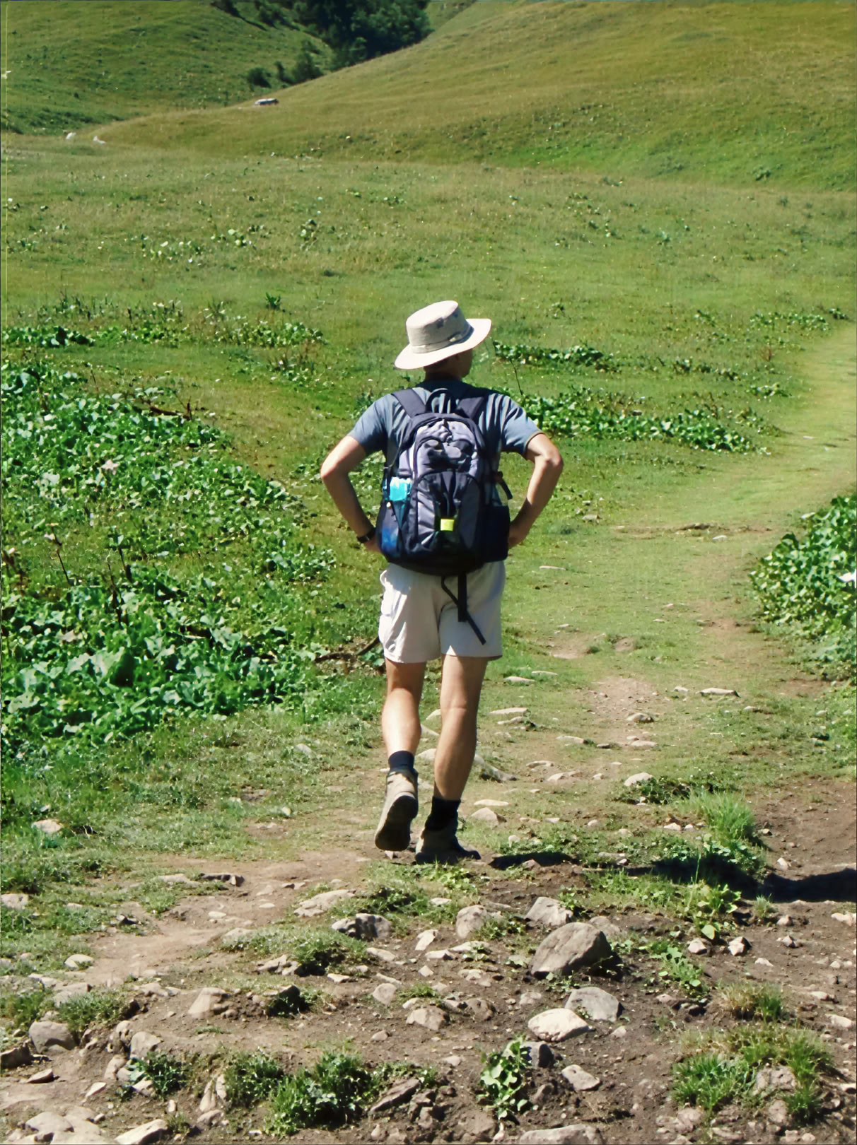 Walking für Wellbeing Retreat