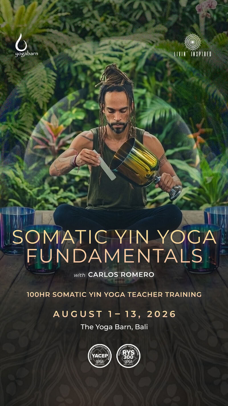 Somatische Yin-Yoga-Grundlagen 100 Std. YTT