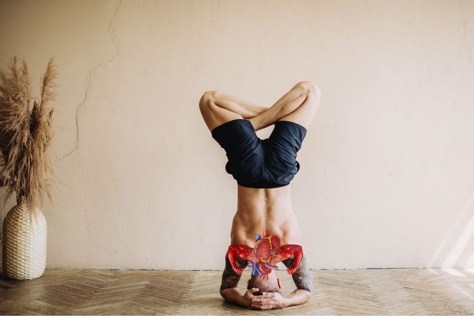 Yoga-Therapie für die Gesundheit der Atemwege (Cardio-Breath Fusion)