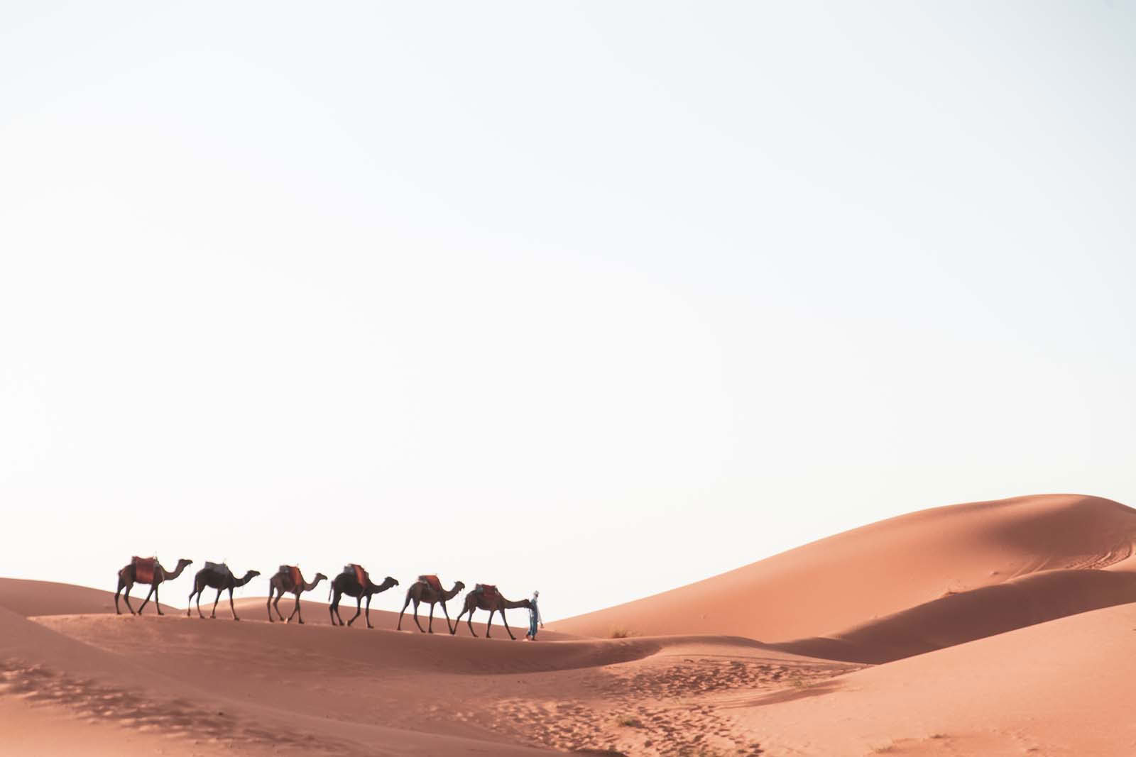 6 Tage ab Marrakesch Authentische Wüstentour