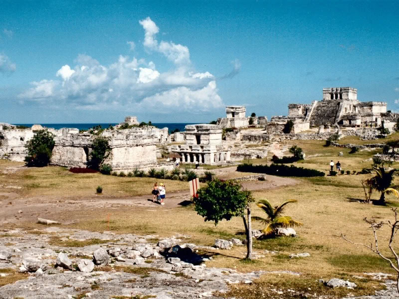 Korallenriffe und Klippen auf Isla Mujeres