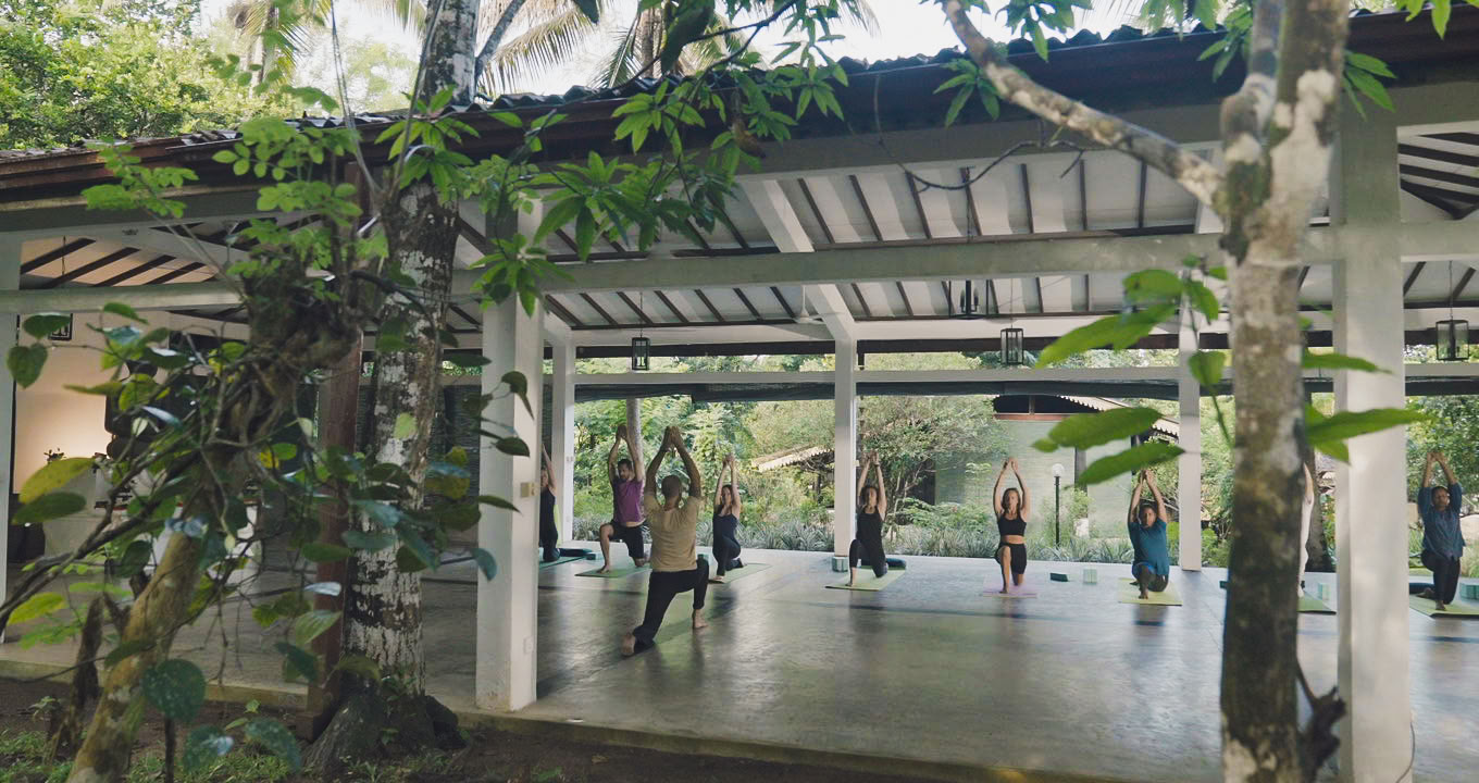 Yoga-Lehrer-Ausbildung