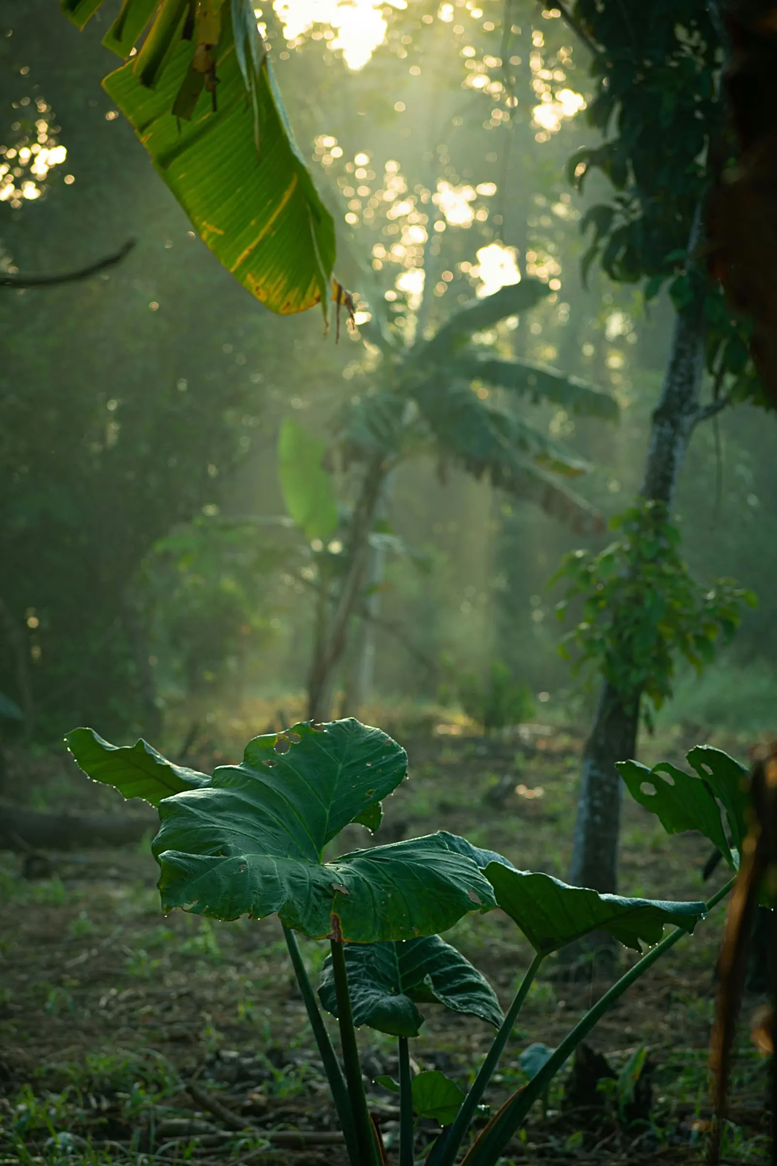 Sri-Lanka-Tages-Retreat