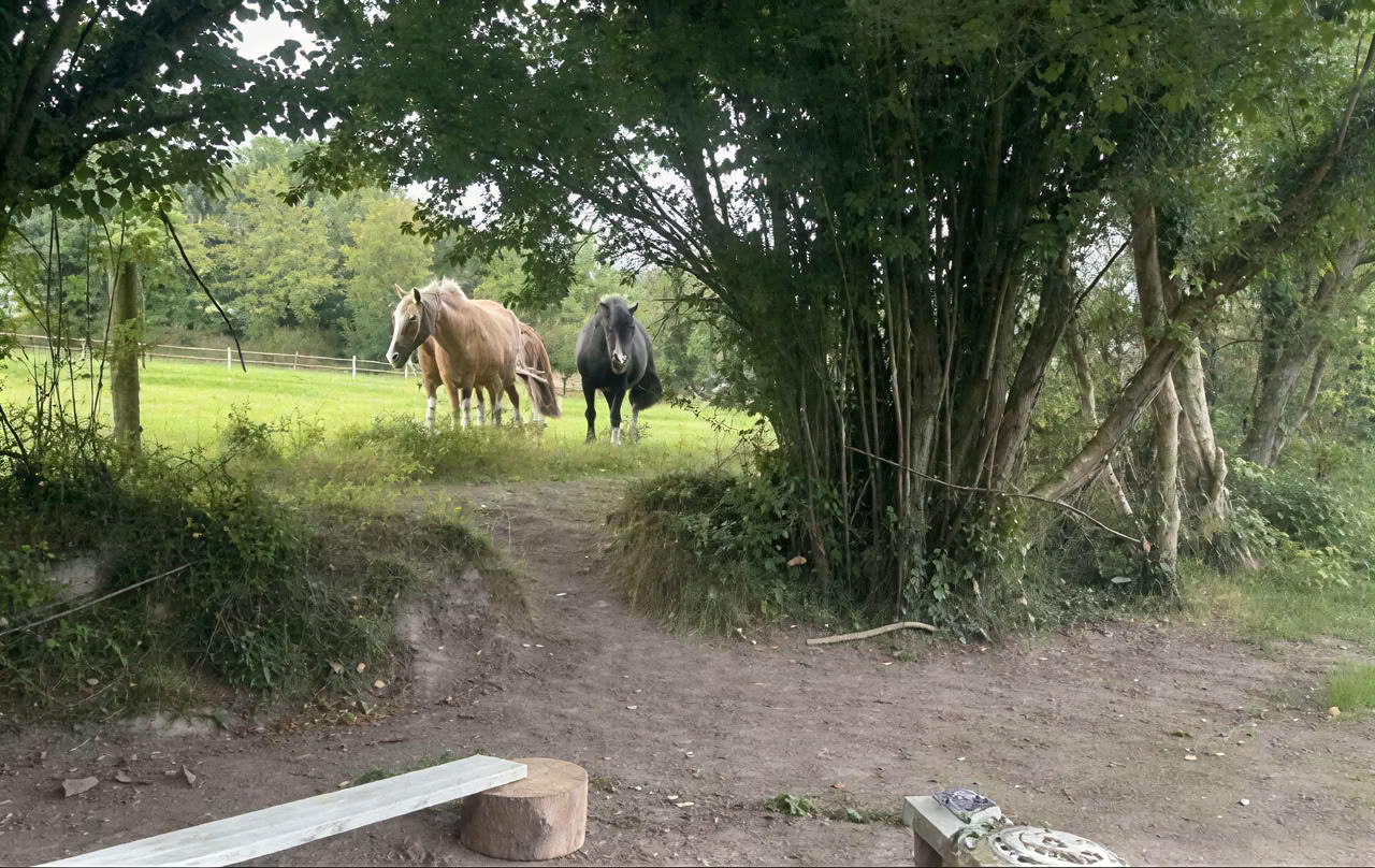 Connect with Heart Retreat with den Horses