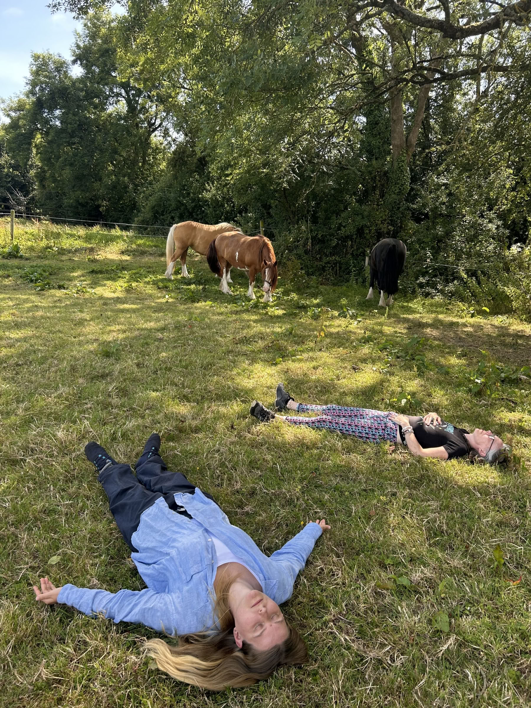 Connect with Heart Retreat with den Horses