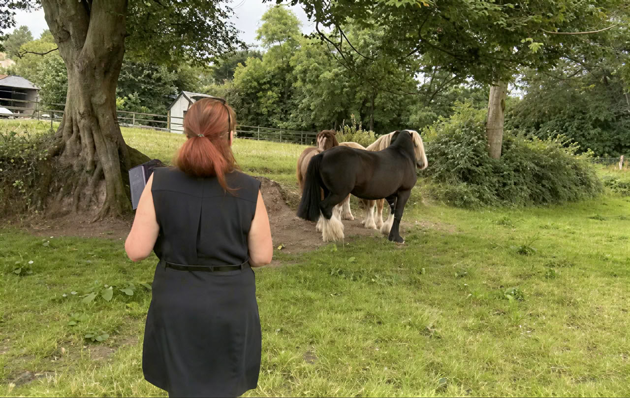 Connect with Heart Retreat with den Horses