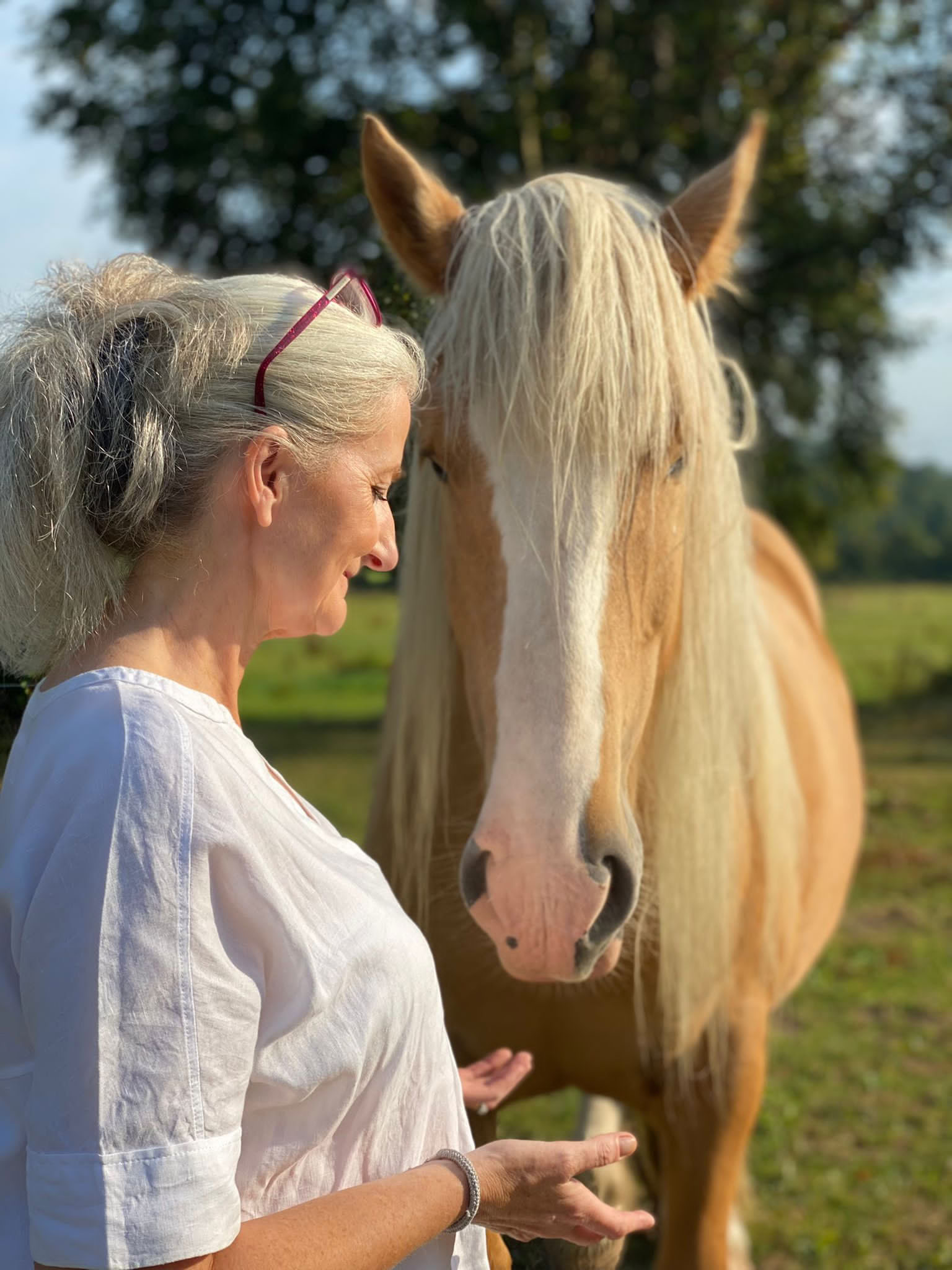 Self Love Retreat mit den Pferden