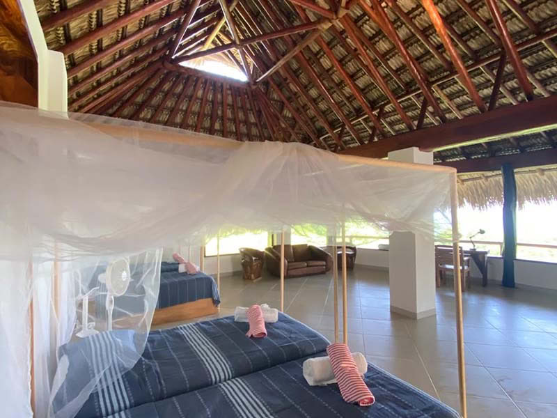 Suite Ébano