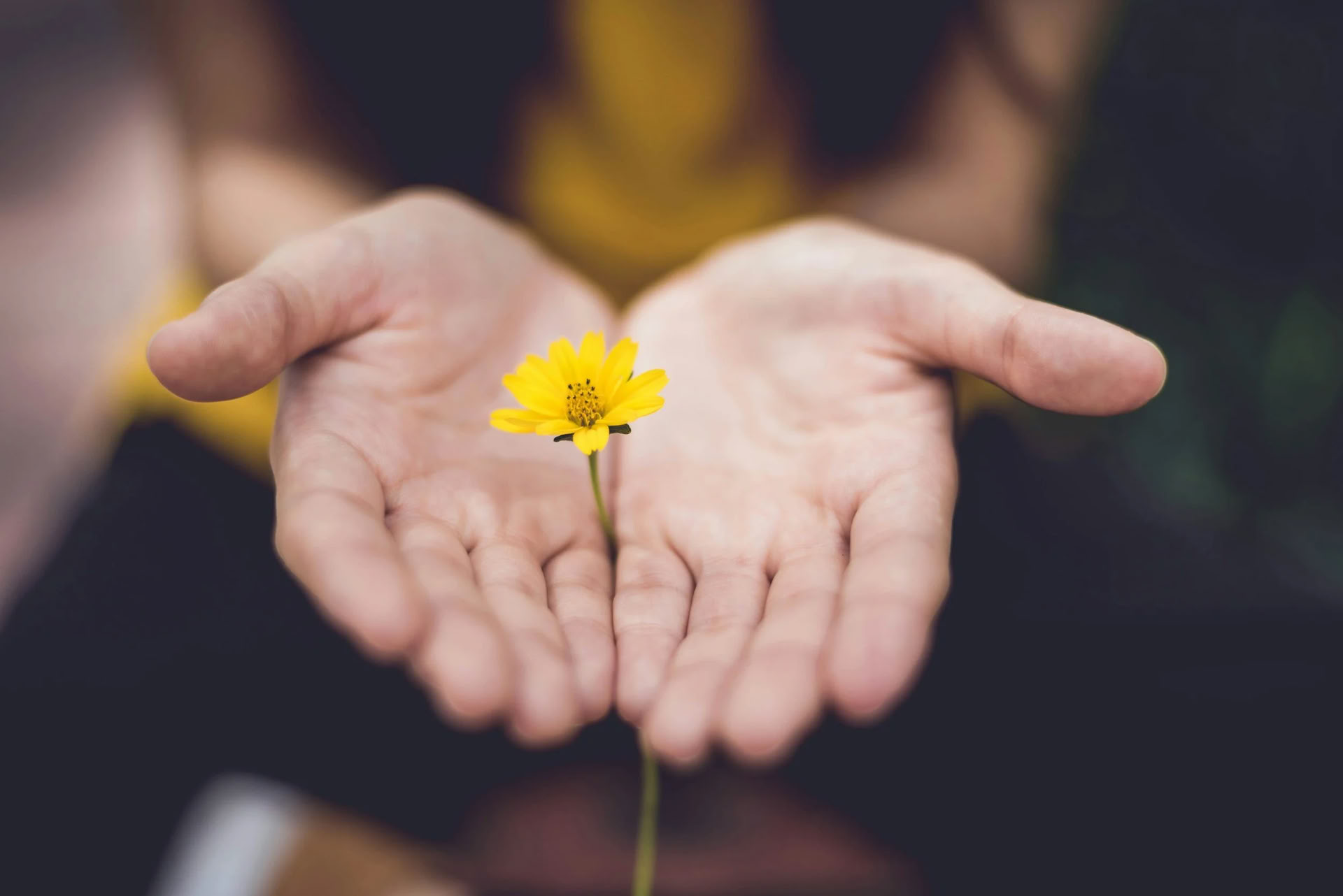 Harmonisiere Dein Leben: Ein Retreat