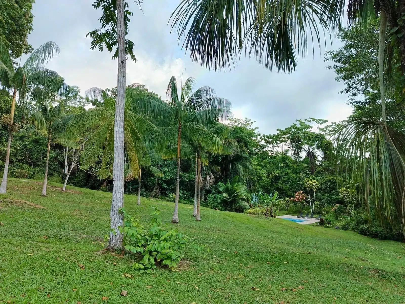 5 Tage Ayahuasca- und San-Pedro-Retreat