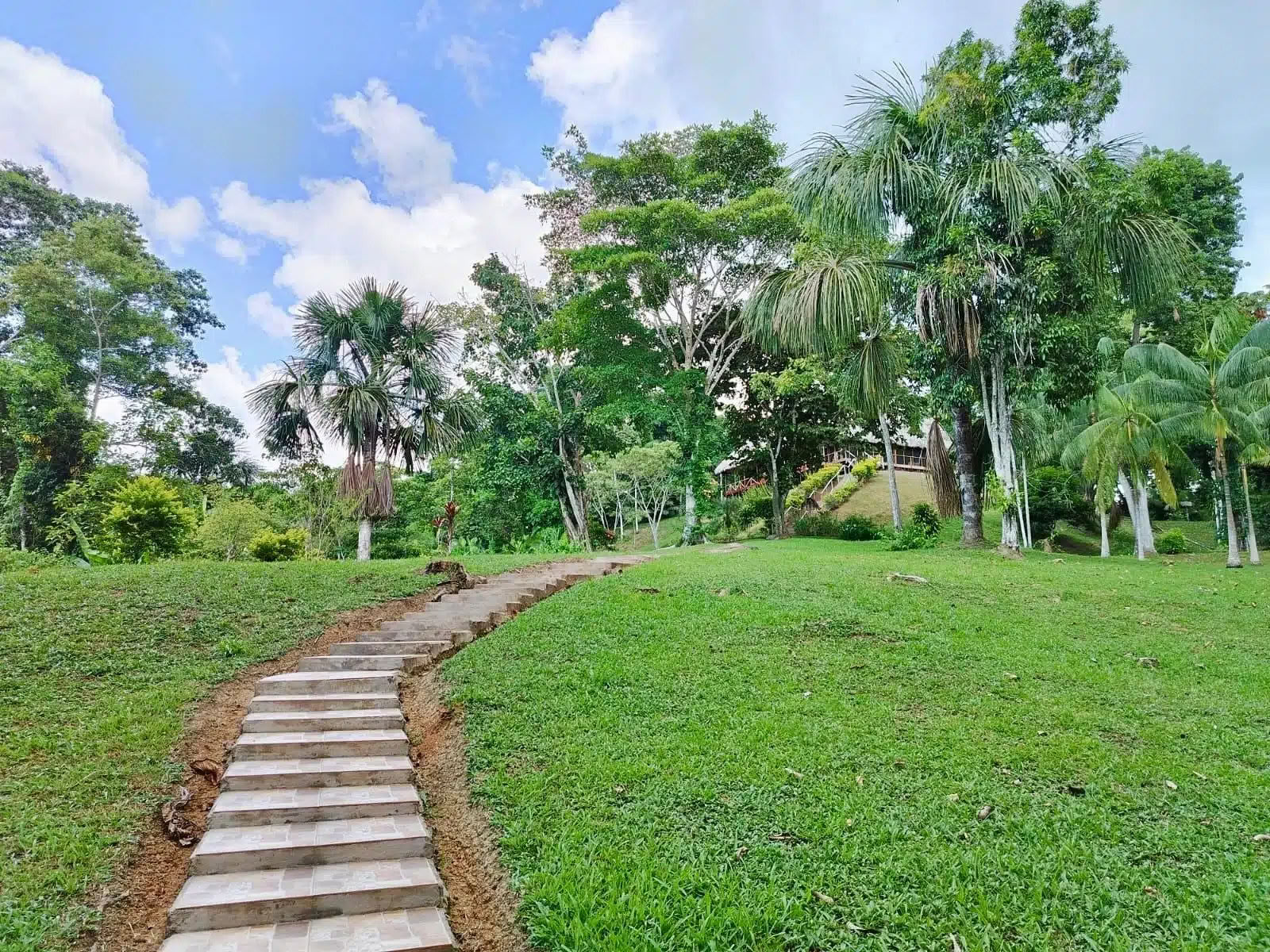 5 Tage Ayahuasca- und San-Pedro-Retreat