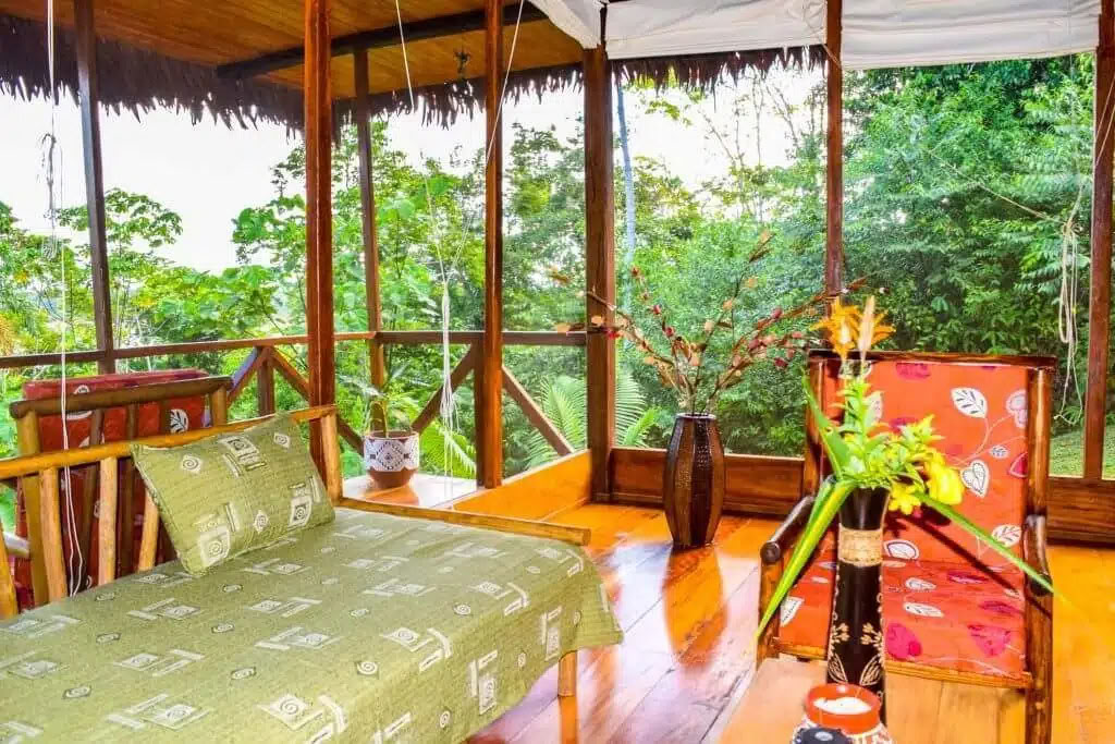 5 Tage Ayahuasca- und San-Pedro-Retreat