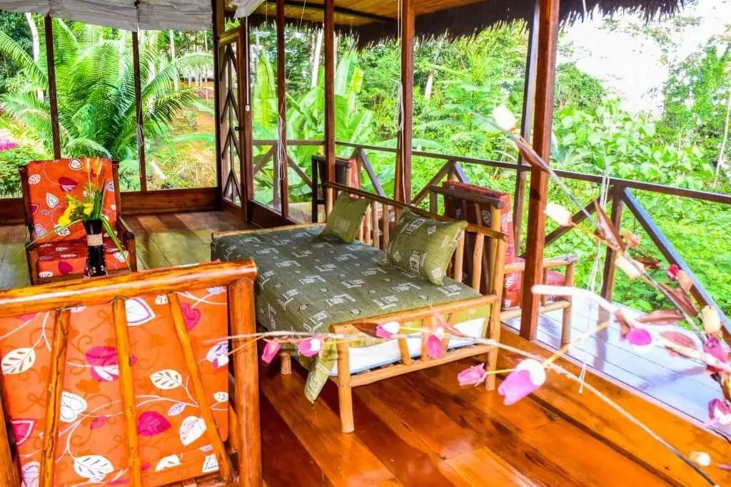 5 Tage Ayahuasca- und San-Pedro-Retreat