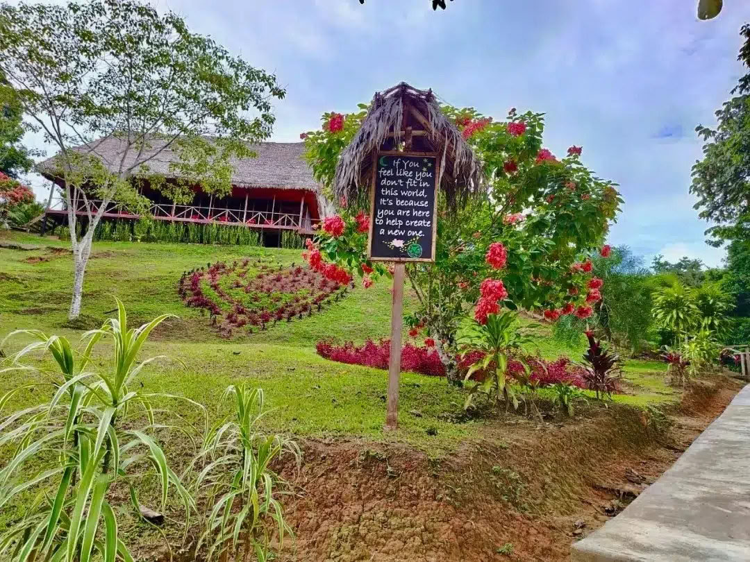 8-tägiges Ayahuasca- & San-Pedro-Retreat