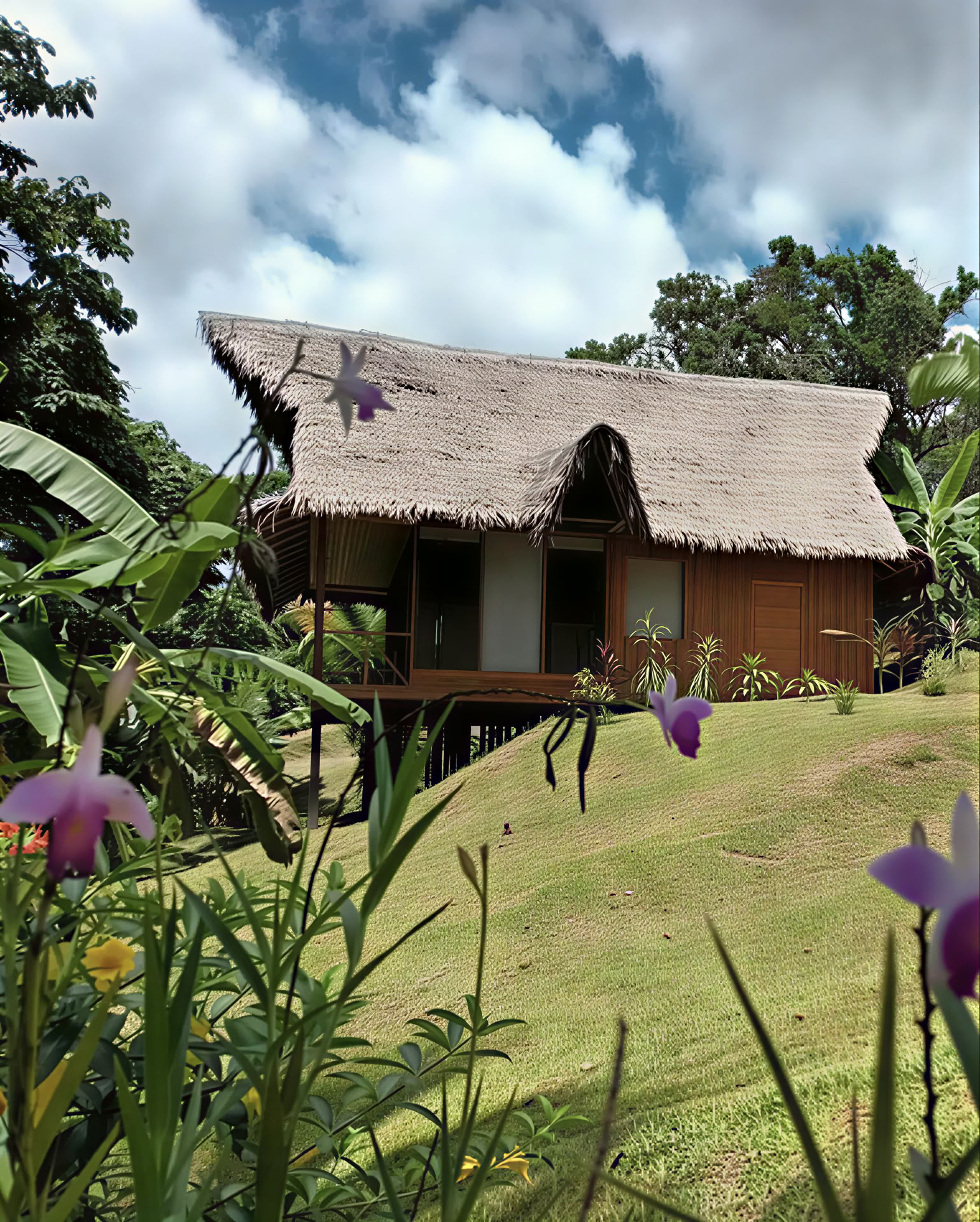 8-tägiges Ayahuasca- & San-Pedro-Retreat – 26. Mai - 2. Juni