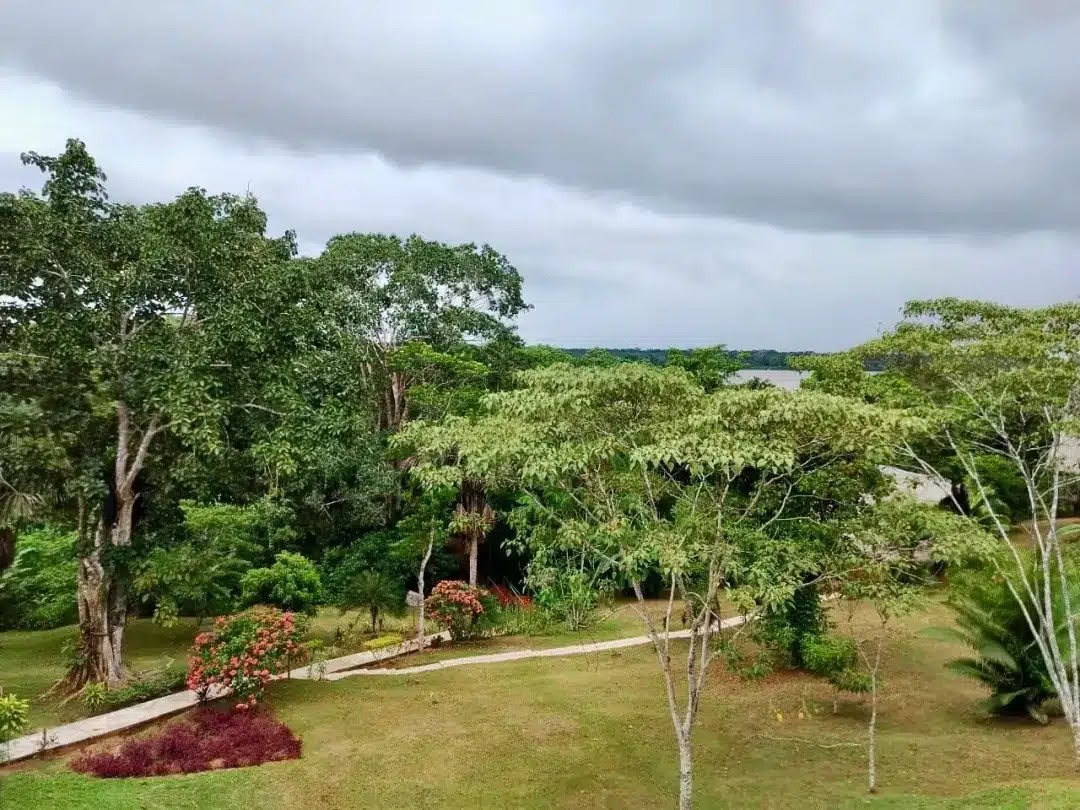 8-tägiges Ayahuasca- & San-Pedro-Retreat – 26. Mai - 2. Juni