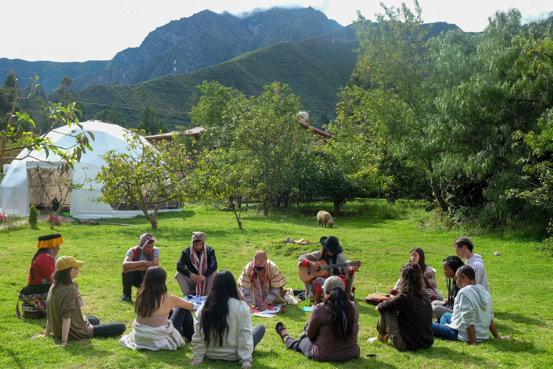 Heiliges Ayahuasca Pflanzen-Retreat
